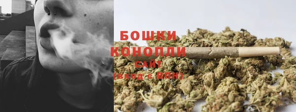 PSILOCYBIN Беломорск