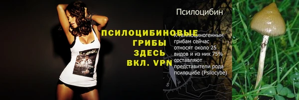 винт Белоозёрский