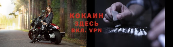 PSILOCYBIN Беломорск