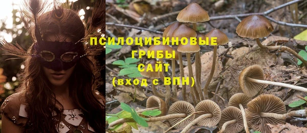 PSILOCYBIN Беломорск