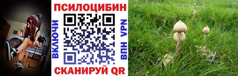 как найти наркотики  Верхняя Пышма  Псилоцибиновые грибы Psilocybine cubensis 