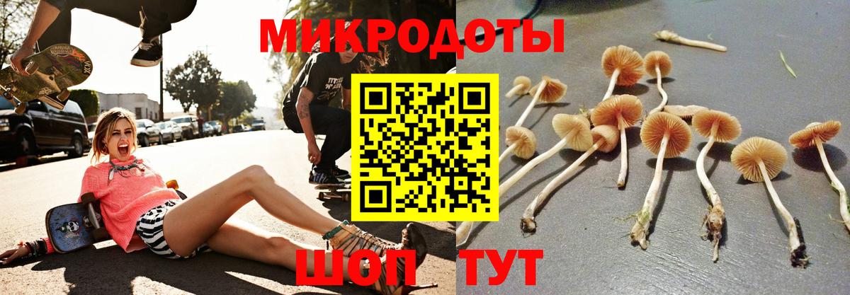 Псилоцибиновые грибы прущие грибы Верхняя Пышма
