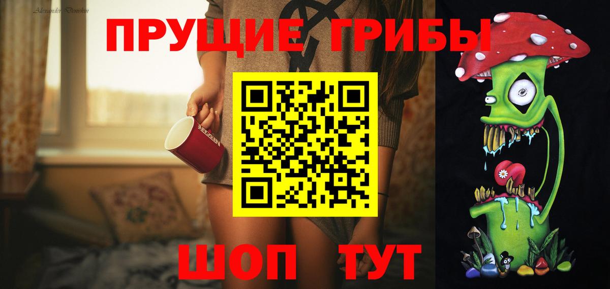 Верхняя Пышма  Псилоцибиновые грибы прущие грибы  Вход с VPN 