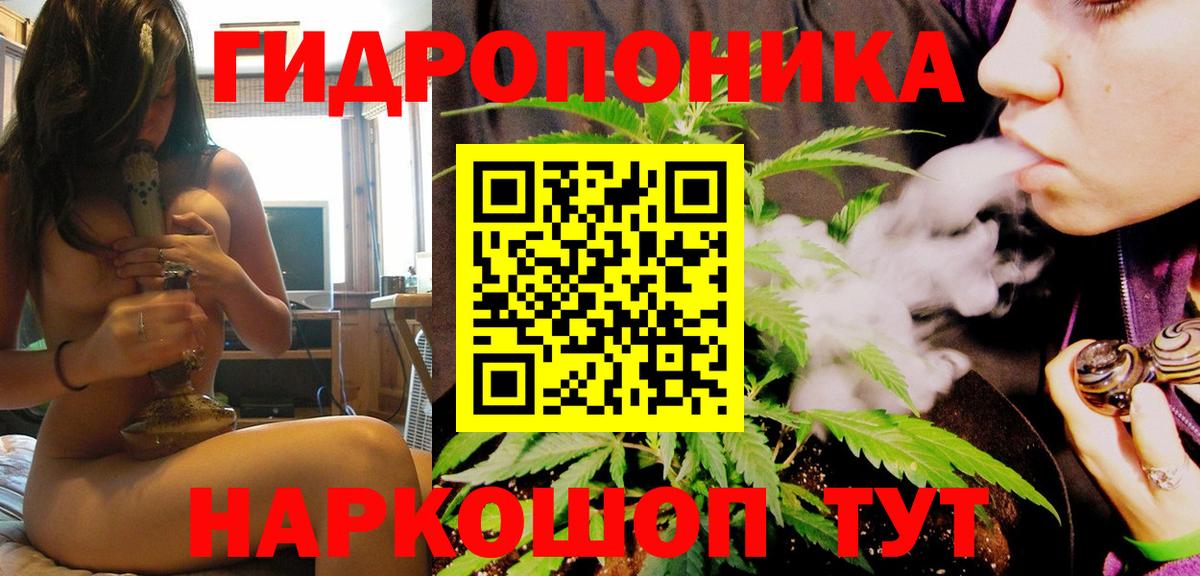 Верхняя Пышма  Бошки Шишки семена  Конопля гибрид  Вход с VPN 